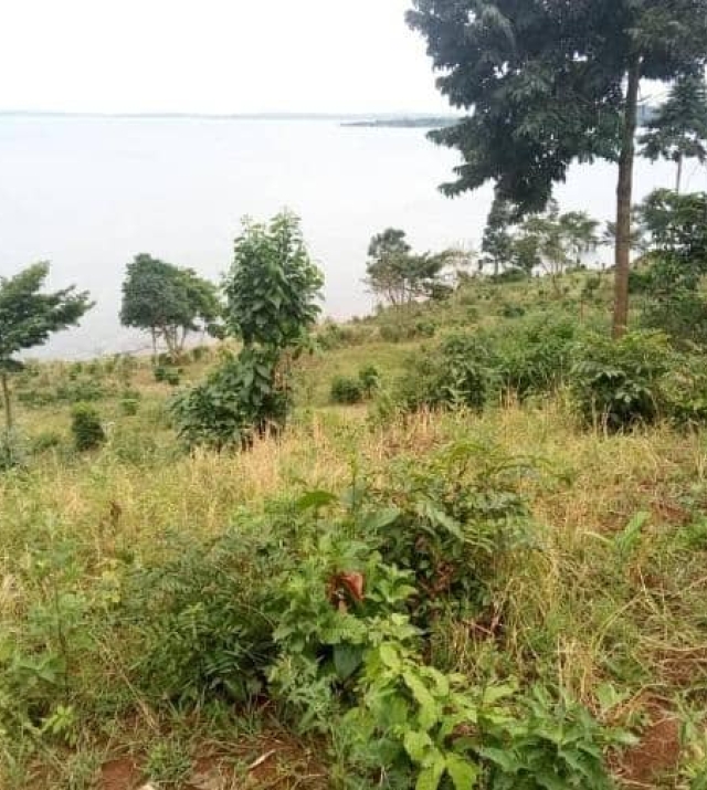 WhatsApp Image 2022-07-18 at 10.12.42 AM.jpeg